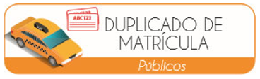 Duplicado de Matrícula